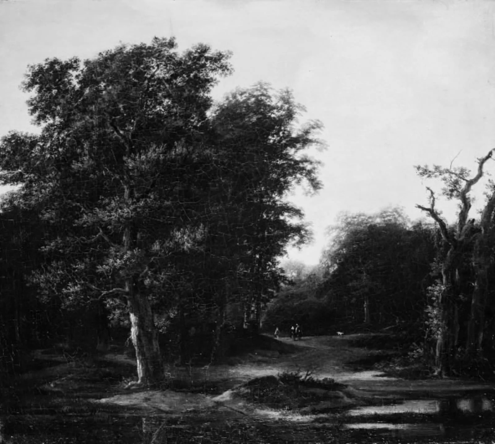 Forest Scenery, by Unknown, 1650