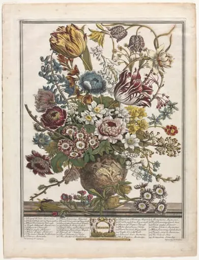 Twelve Months of Flowers:  March