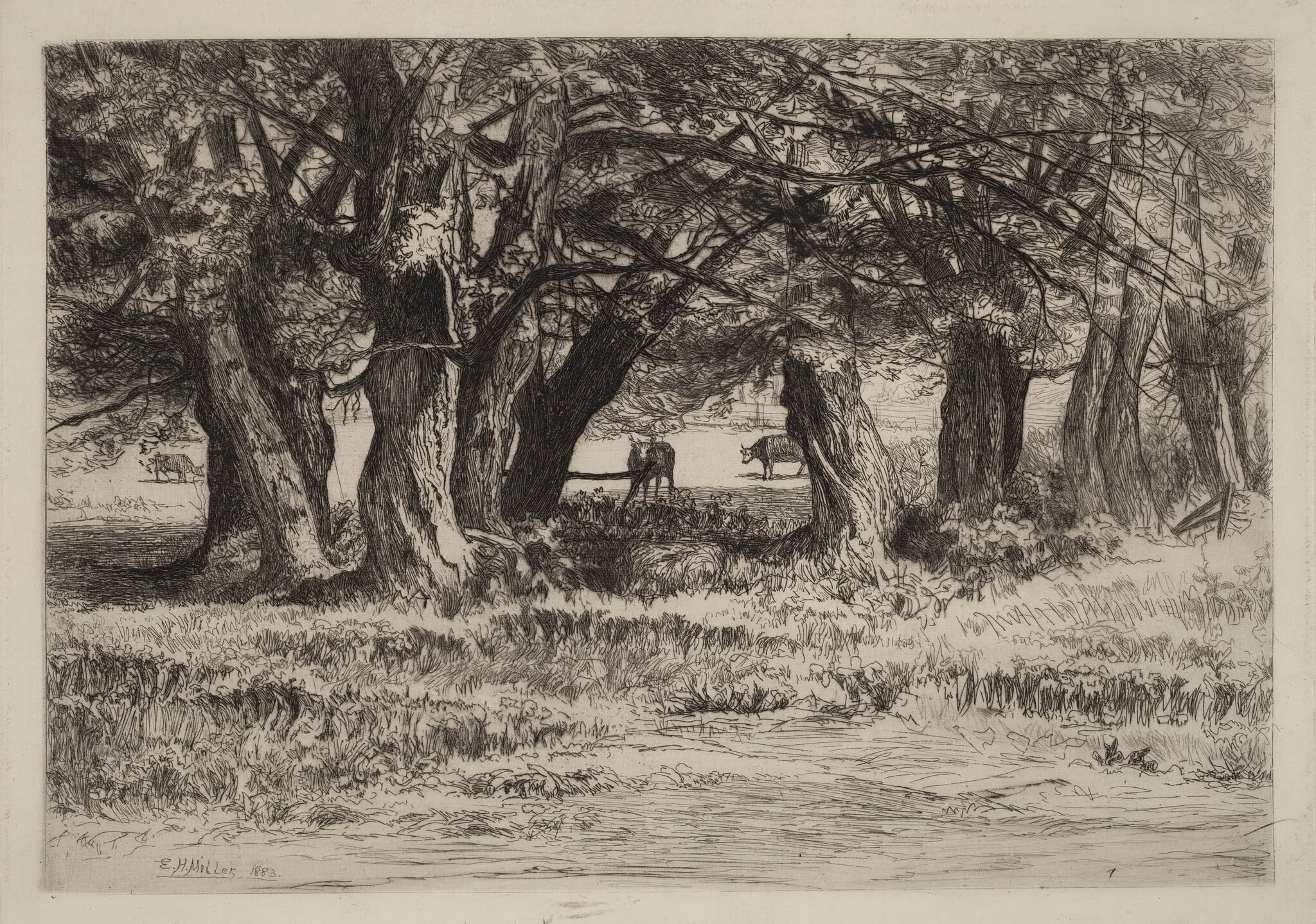 A Group of Willows