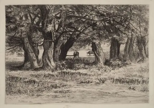 A Group of Willows