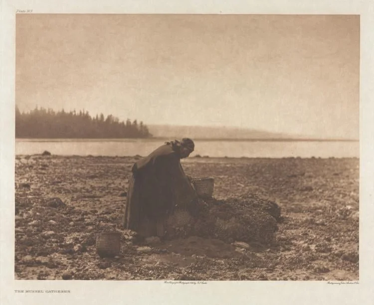 Portfolio IX, Plate 313: The Mussel Gatherer, by Edward S. Curtis, 1900