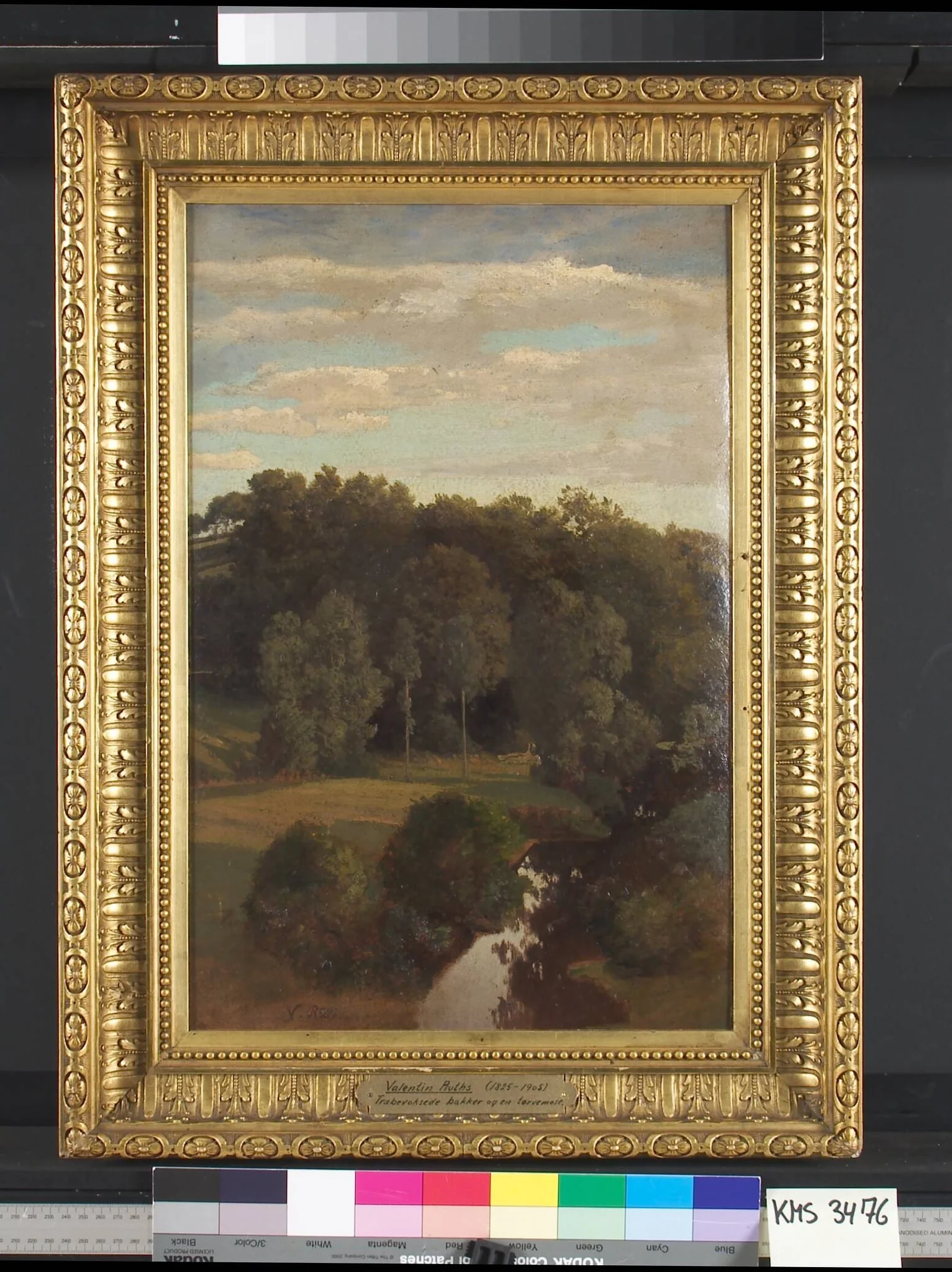 Wooded Hills behind a Meadow with a Peat Bog, by Unknown, 1850