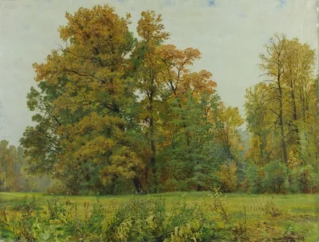The Edge of the Forest