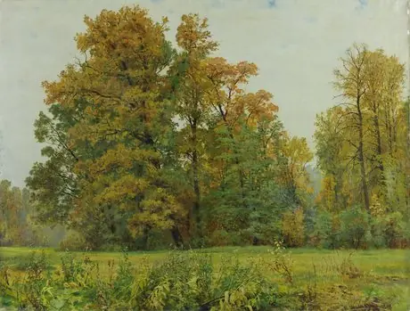 The Edge of the Forest