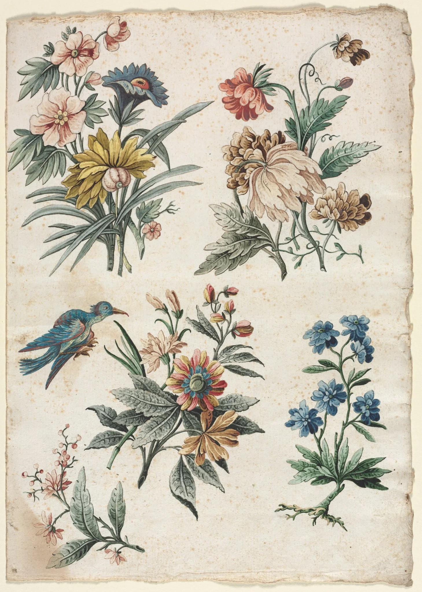 Floral Designs with a Blue Bird
