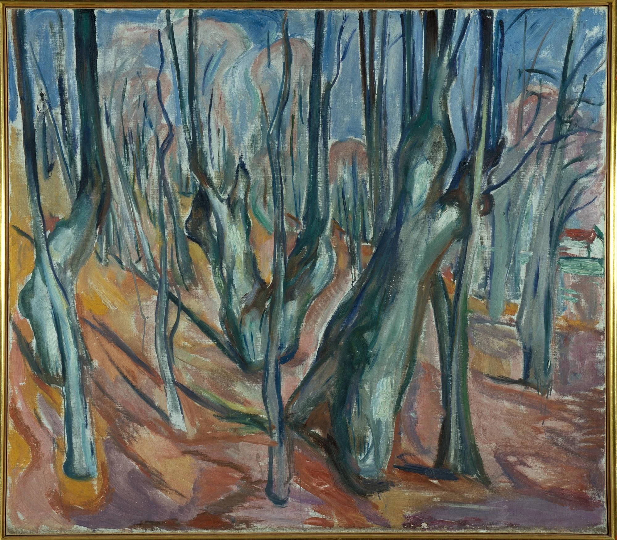 Elm Forest in Spring