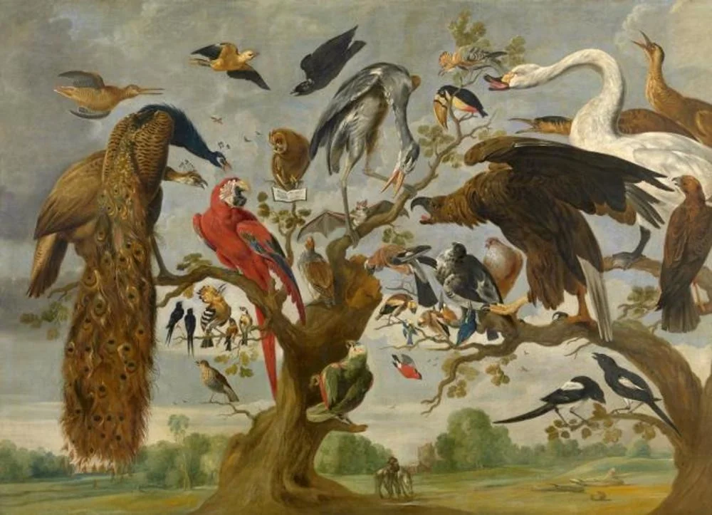A concert of birds, by Paul de Vos, oil, 1664