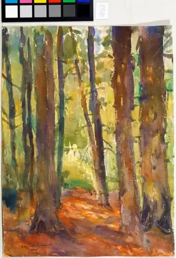Interior de pădure