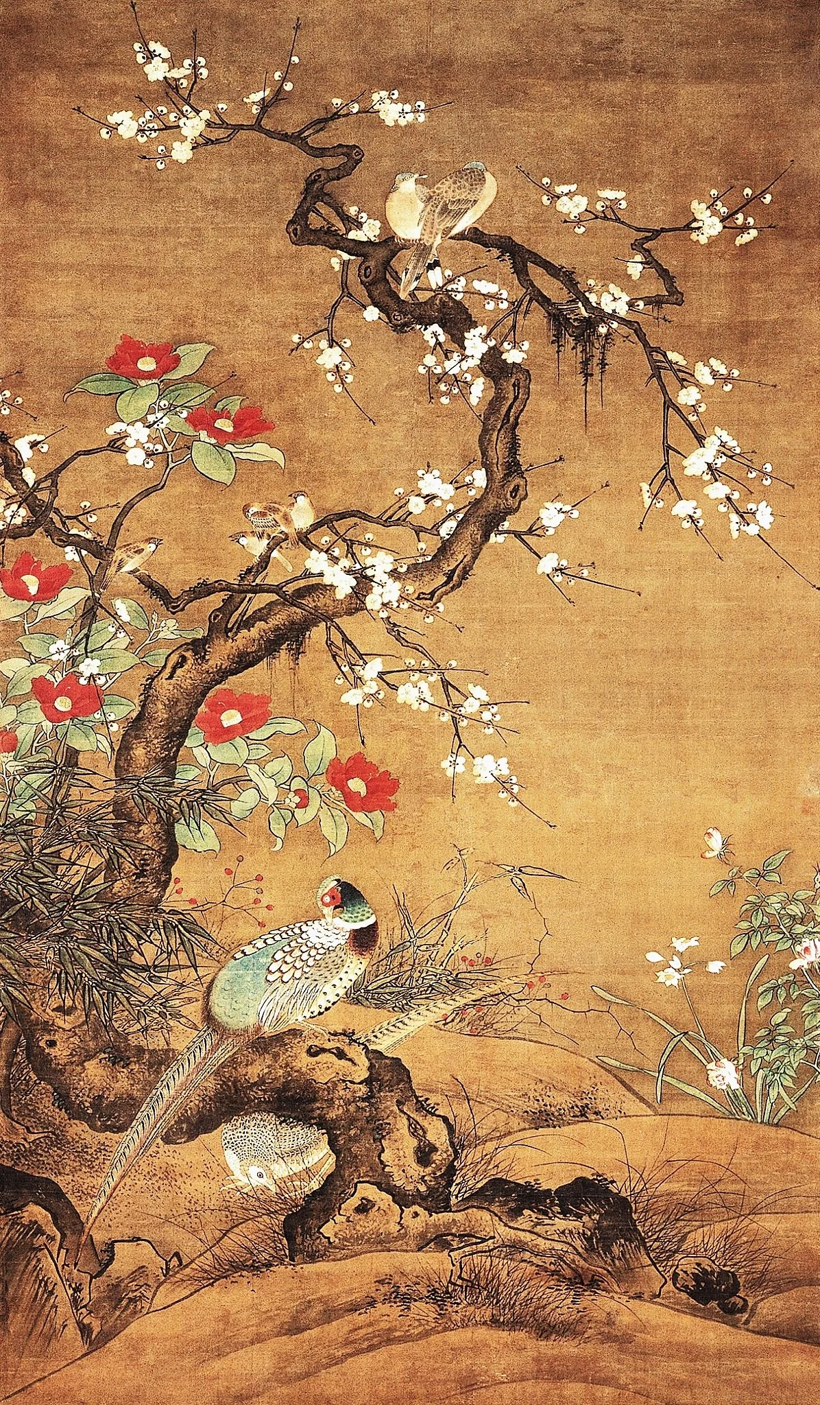 Pheasant and camellia shrub, by Lü Ji, unspecified, 1550