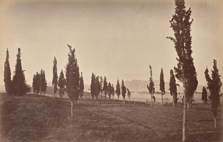 Birds Eye View of Jellalabad, from the Springs, by John Burke, 1879