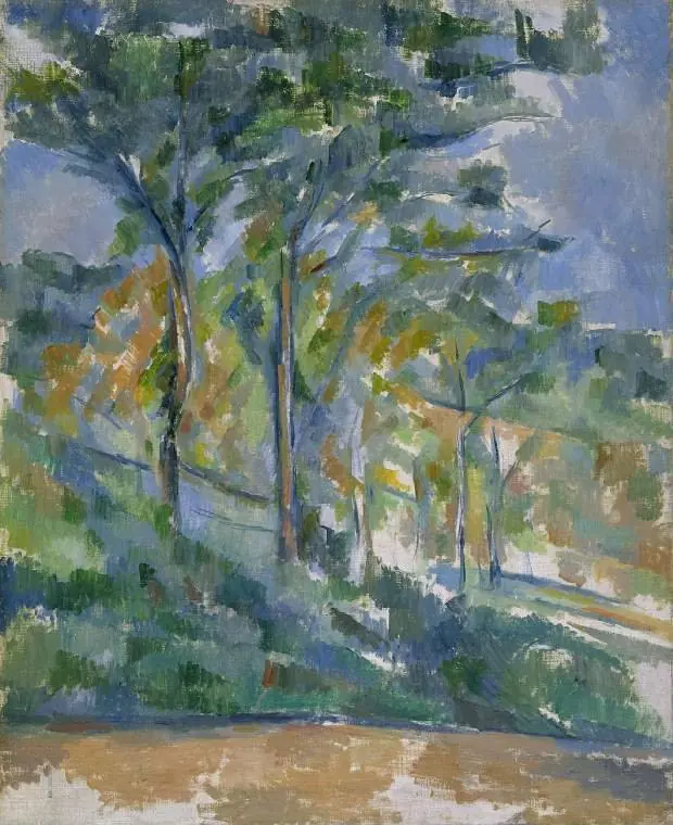 Sous-bois – La Forêt