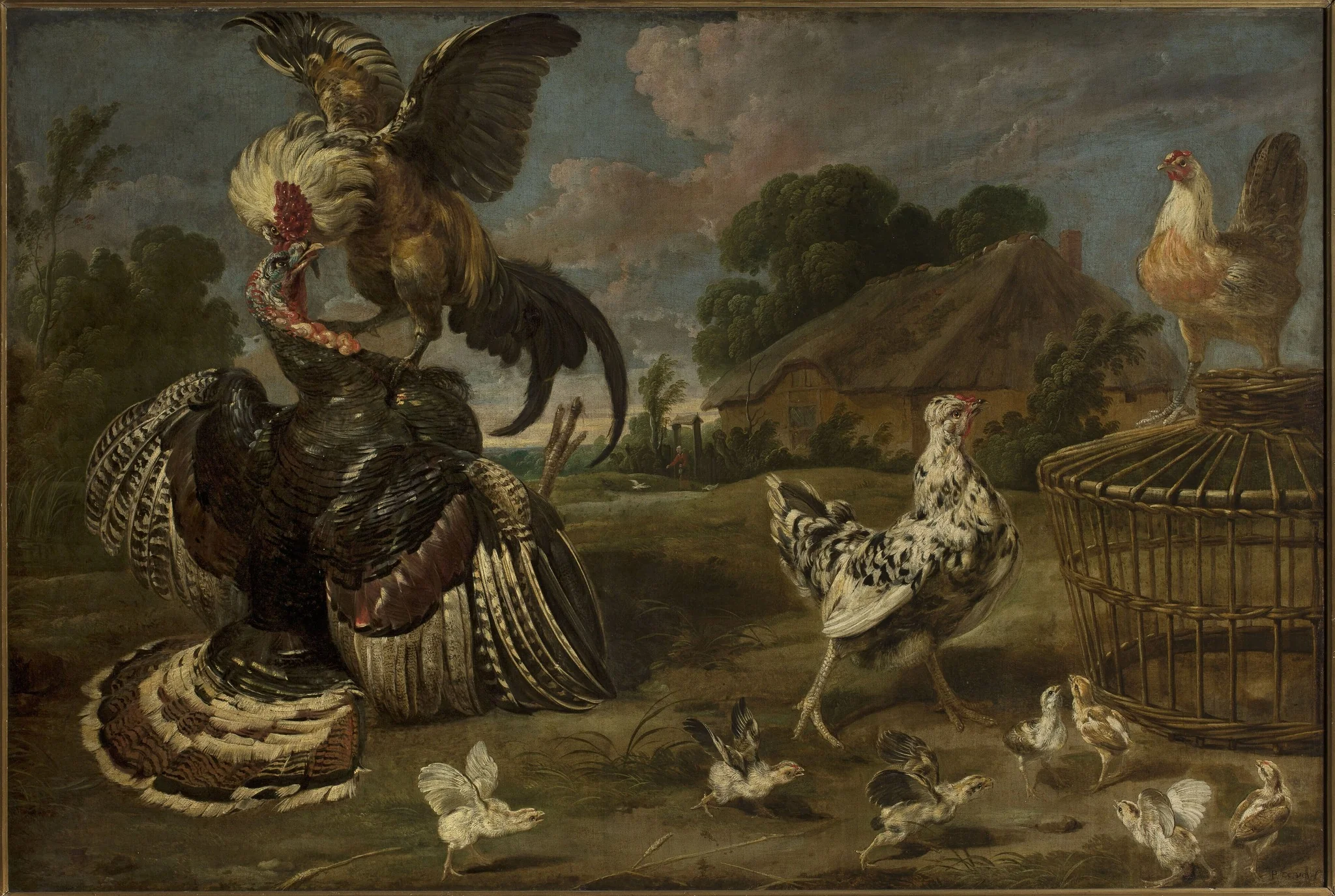 A turkey and a rooster