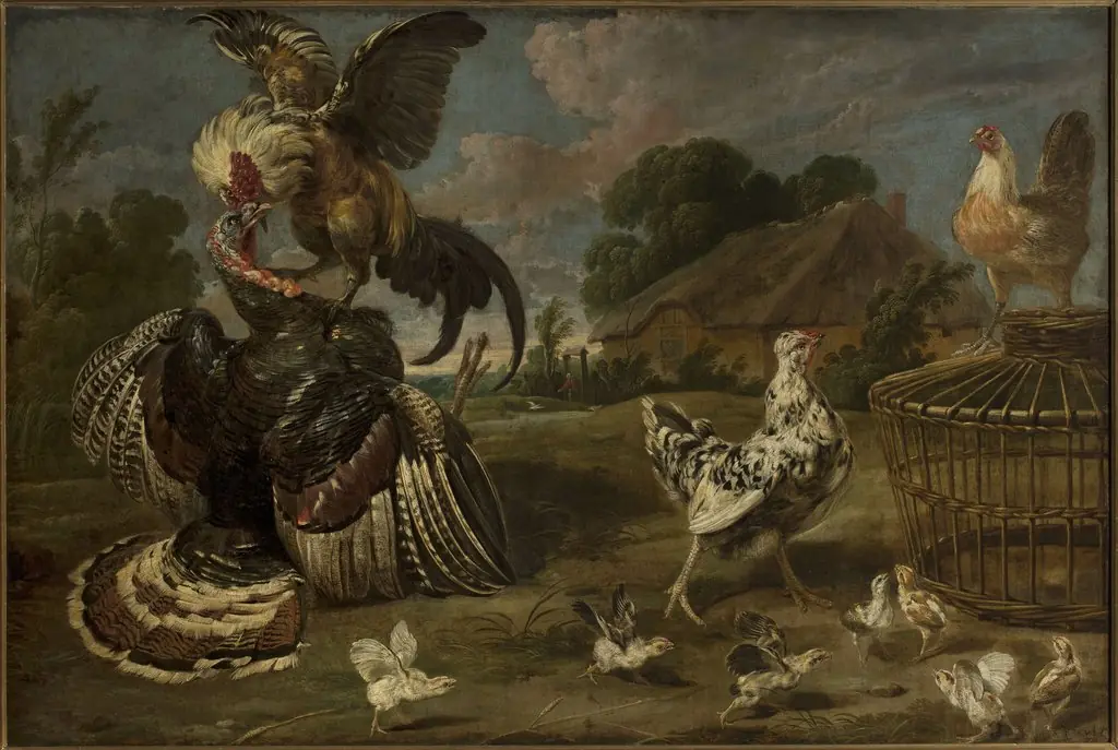 A turkey and a rooster