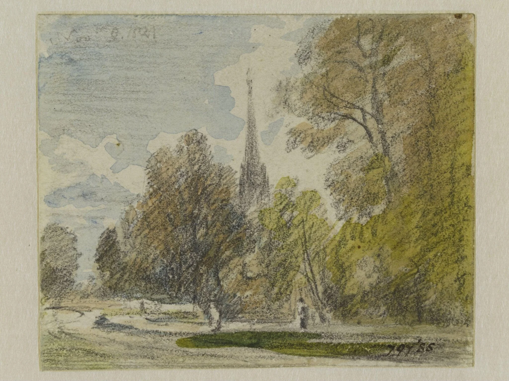 Salisbury Cathedral with trees