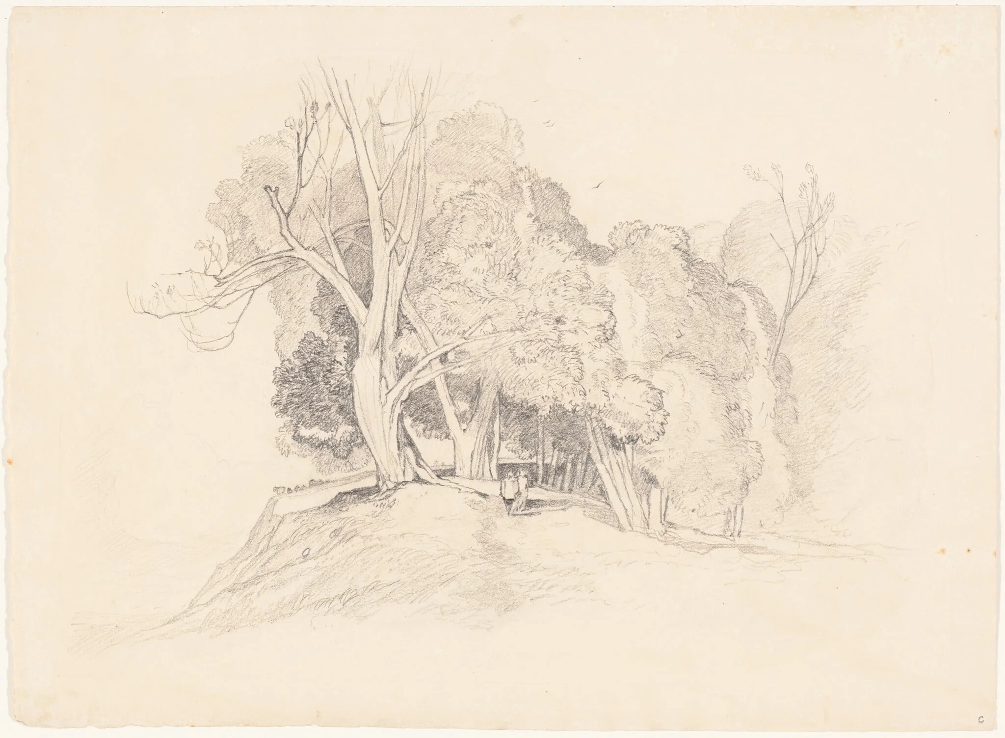 Landscape with Trees, by British 19th Century, graphite, 1812