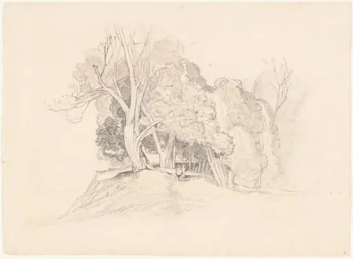 Landscape with Trees