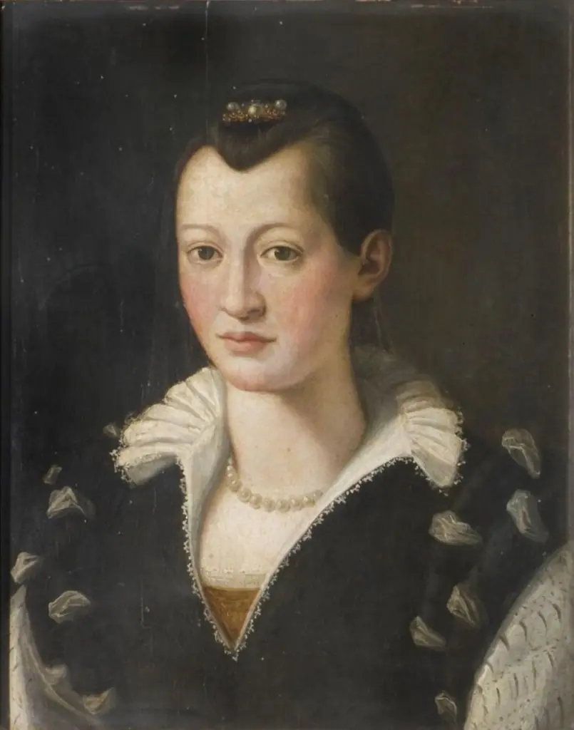 Portrait of a Lady in a Black Dress