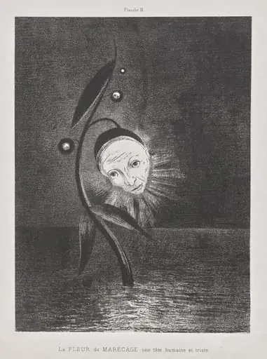 The Marsh Flower, a Sad Human Head