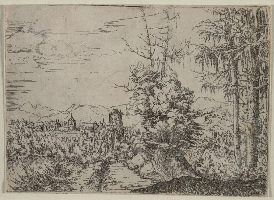 Landscape with Two Pines, by Albrecht Altdorfer, 1522