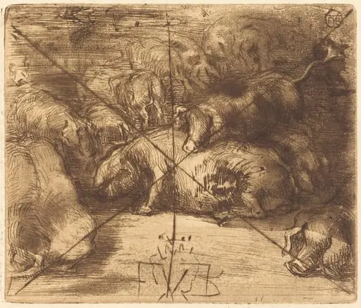 Cochons au Soleil (Pigs in the Sun)