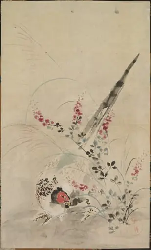 Pheasant and Grasses