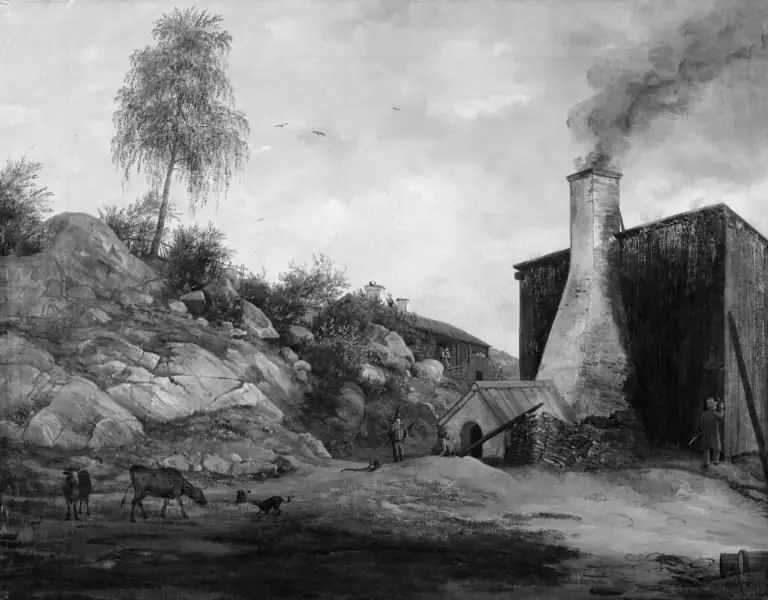 Swedish Landscape