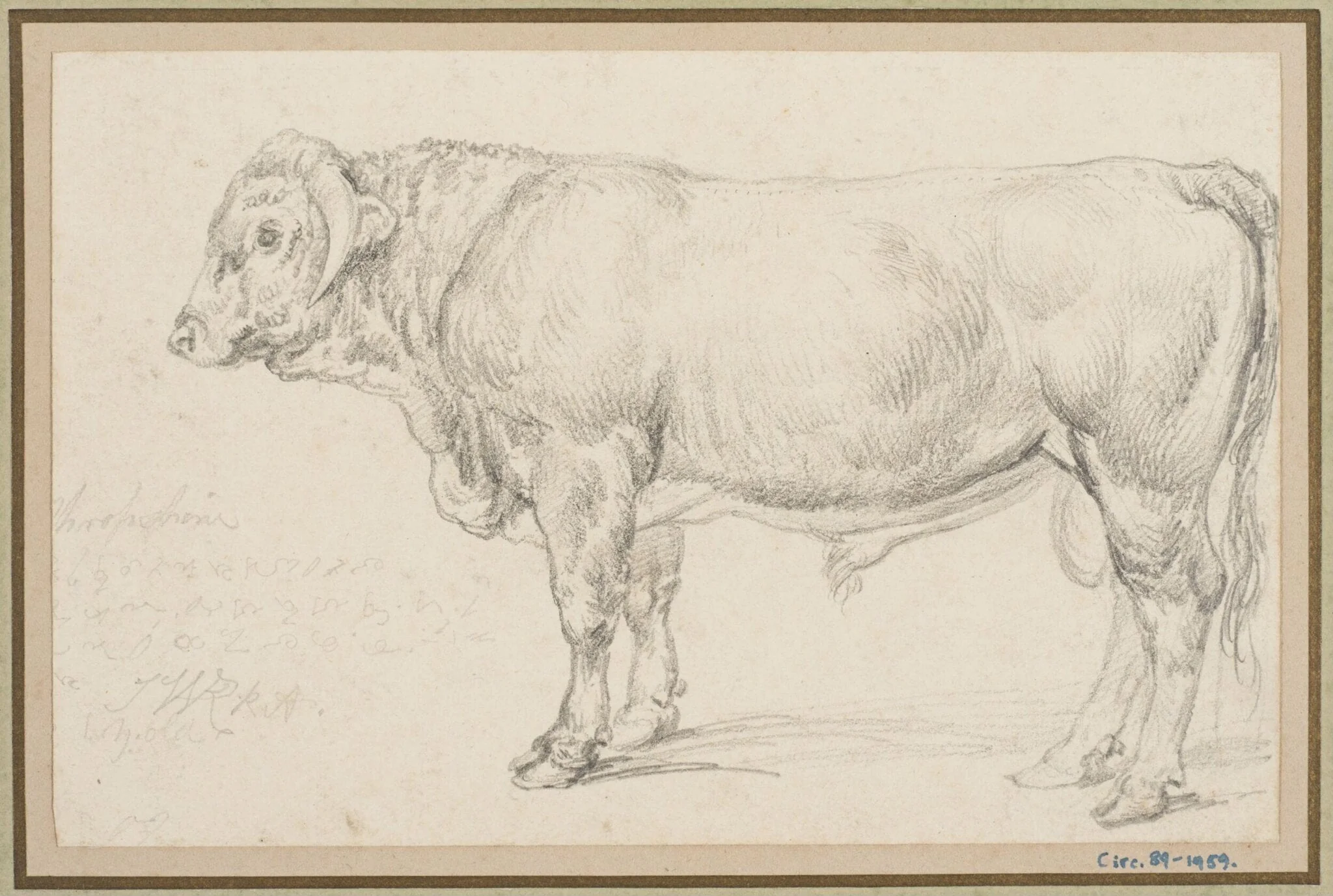 'Mr Cattisal's Shropshire Bull, by James Ward, 1834