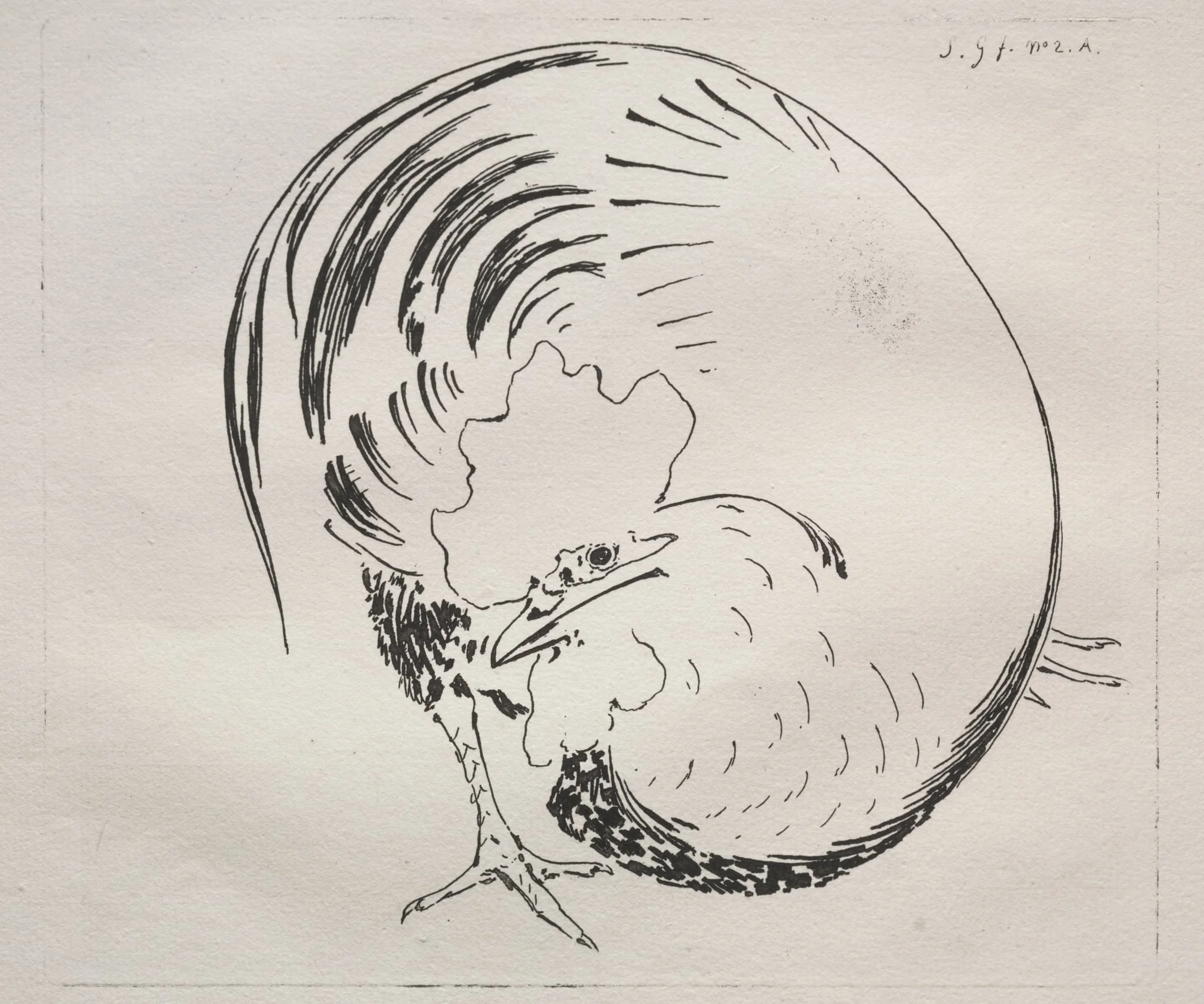 The High-Fired Service: Rooster (counterproof), by Félix Bracquemond, 1860