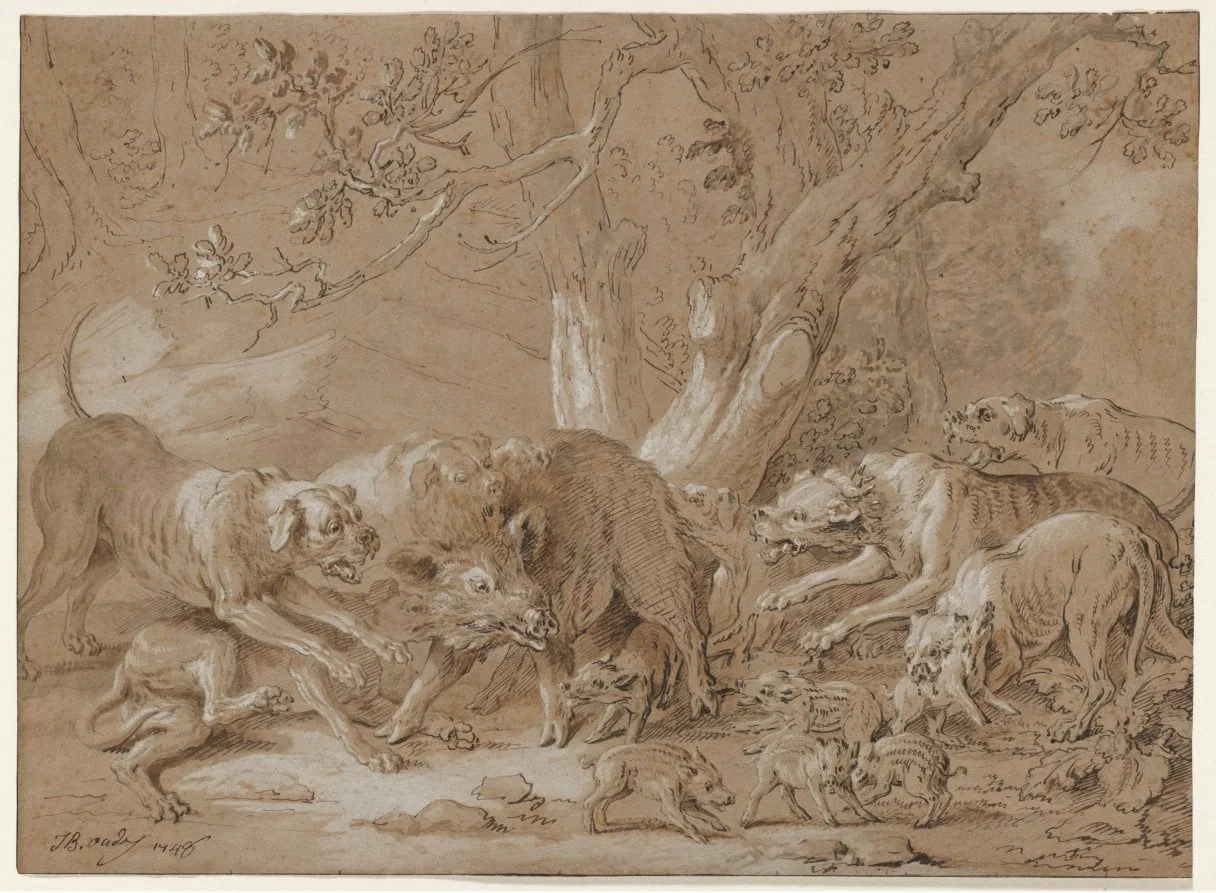 Wild Sow and Her Young Attacked by Dogs, by Jean-Baptiste Oudry, 1748