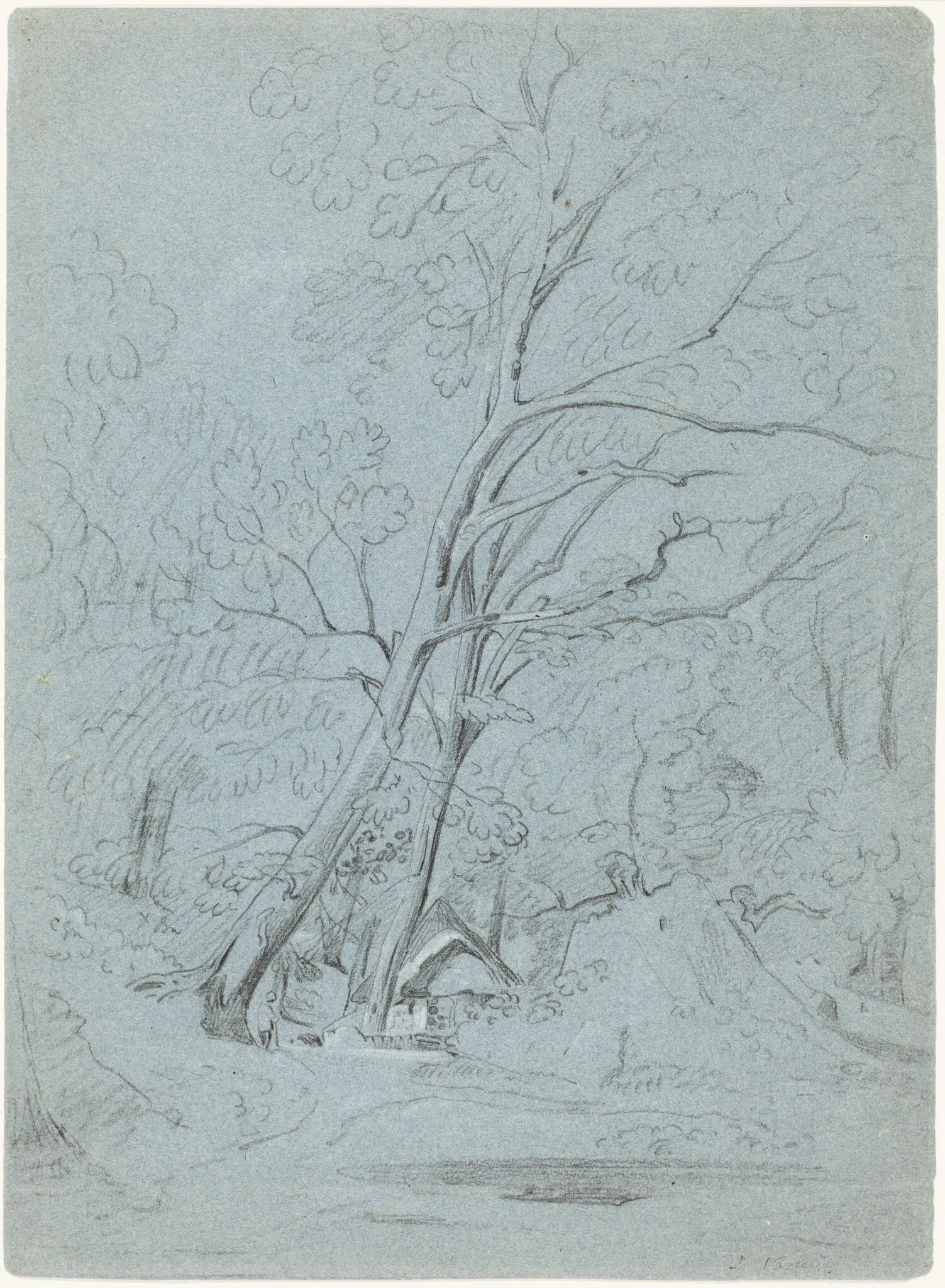 A Cottage on a Lane