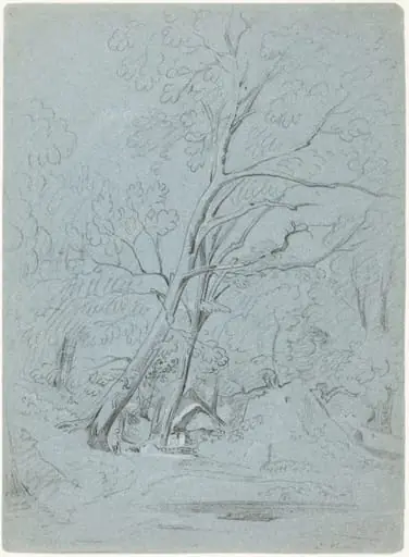 A Cottage on a Lane