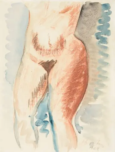 STUDIU DE NUD – TORS