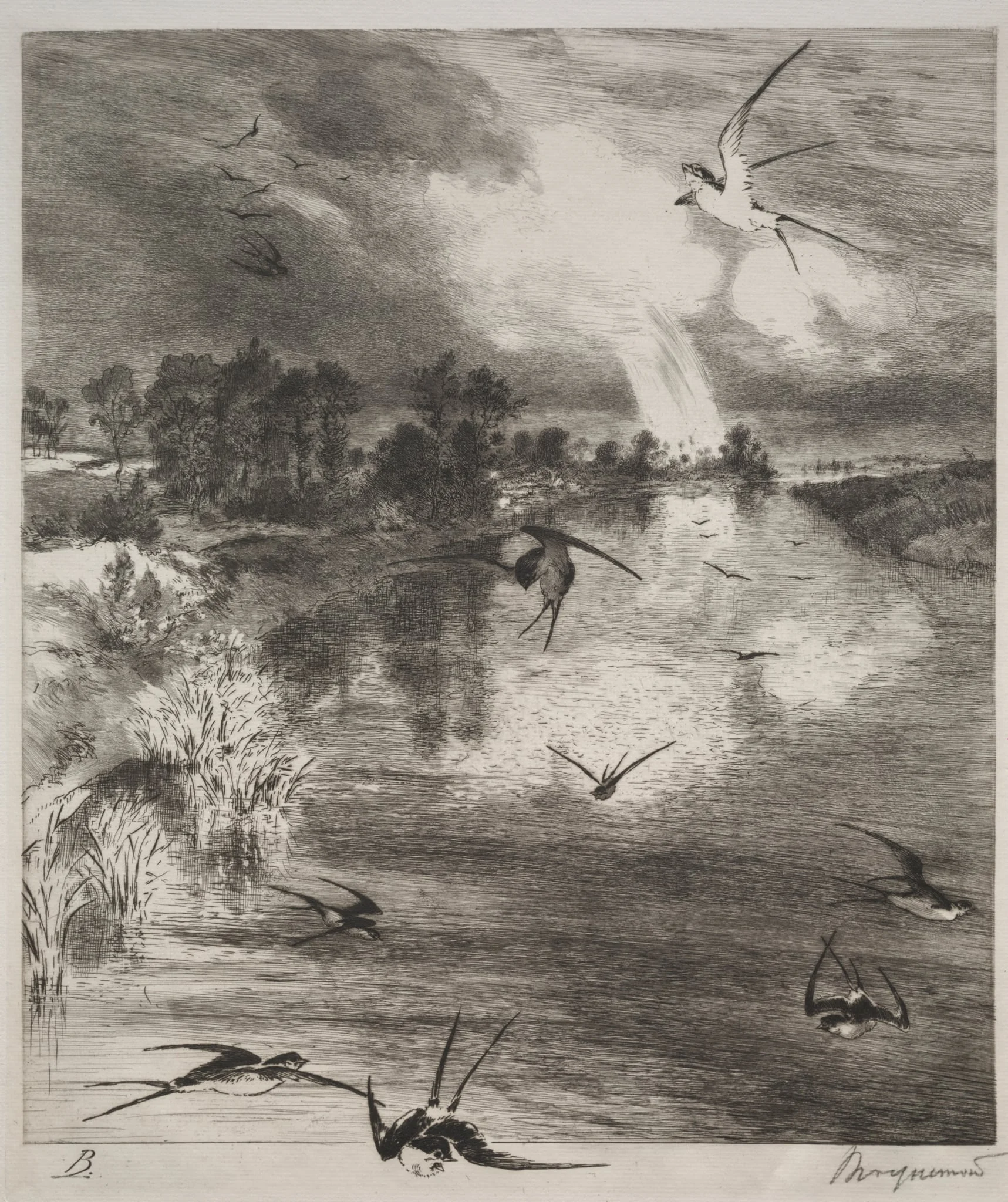 Swallows, by Félix Bracquemond, 1882