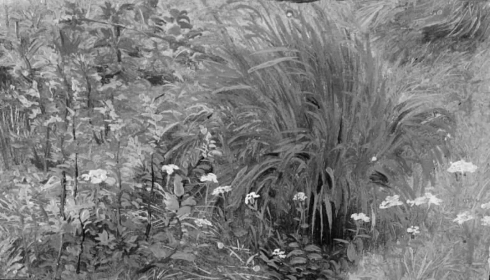 Wild Plants and Grass, by Unknown, 1837