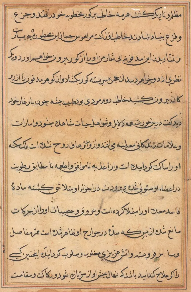 Page from Tales of a Parrot (Tuti-nama): text page