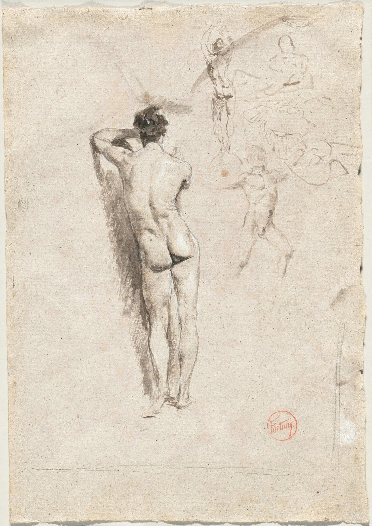 Study of a Male Nude and Other Studies