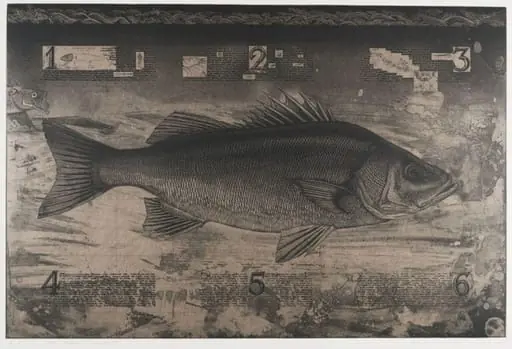 Sushi-Maru II Hira Suzuki