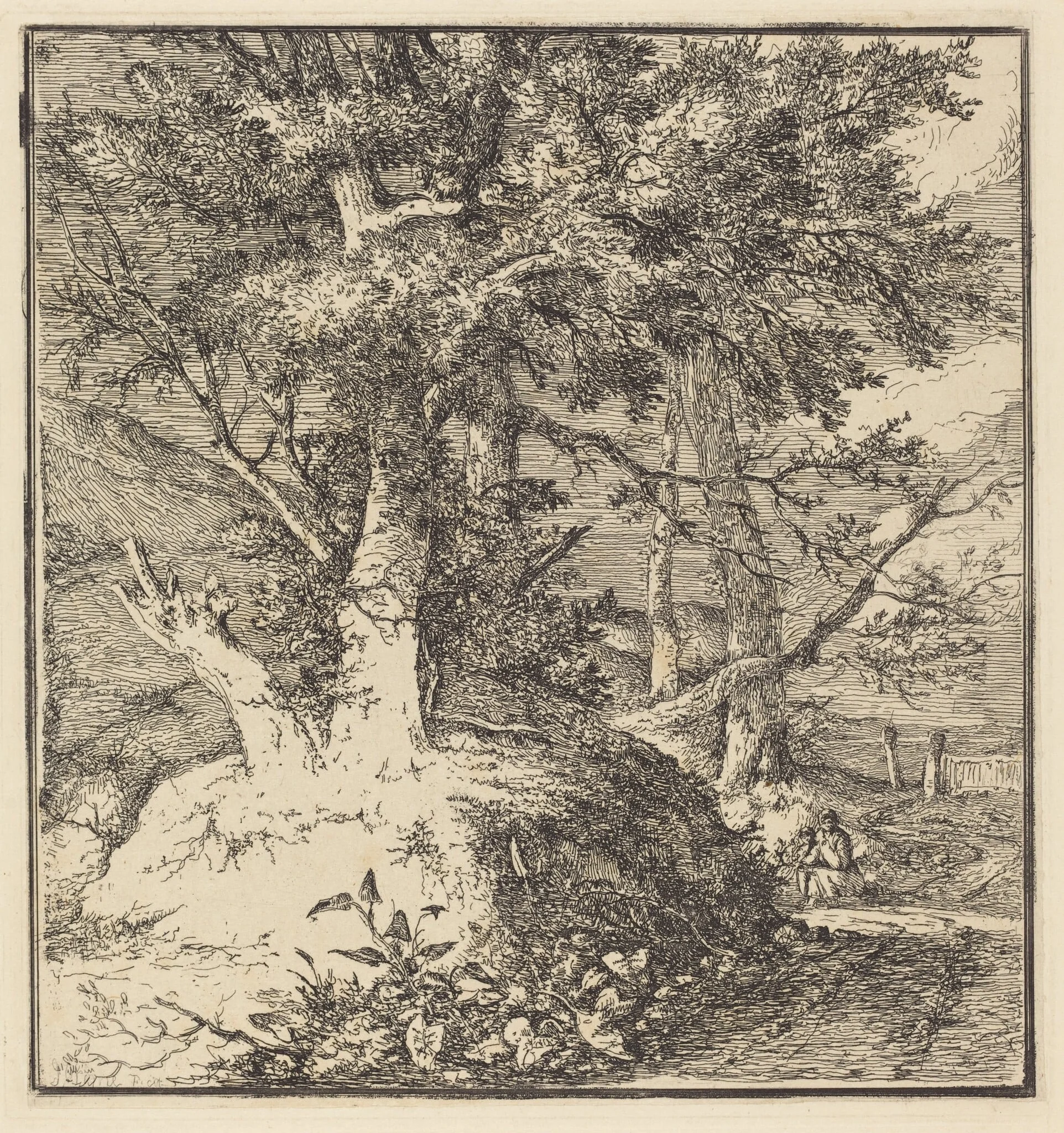 Tree on a Mound, by John Crome, ink, 1794