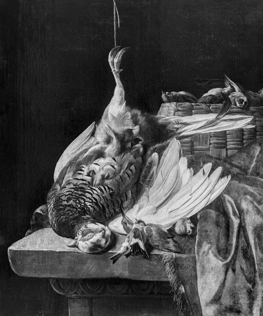 Still life with turkey