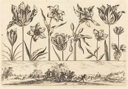 Flower Print no.2