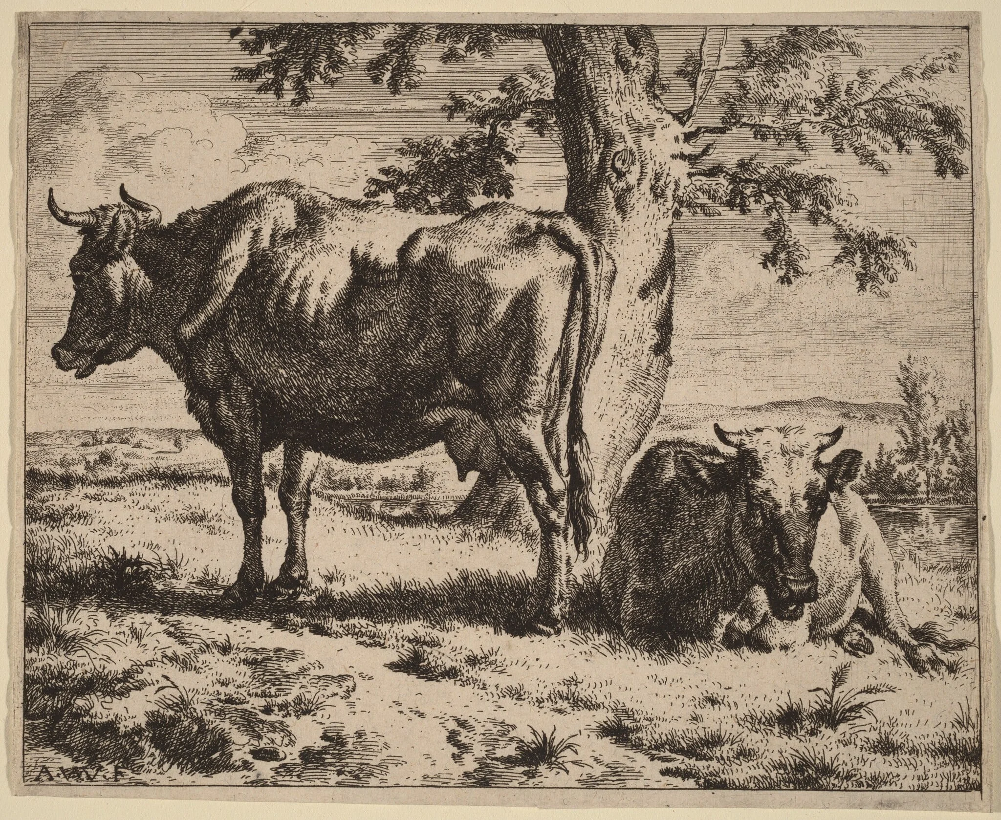 Two Cows under a Tree, by Adriaen van de Velde, ink, 1670