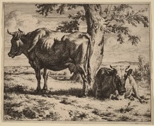 Two Cows under a Tree