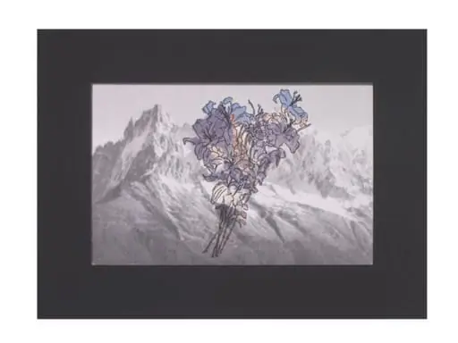 Border 1