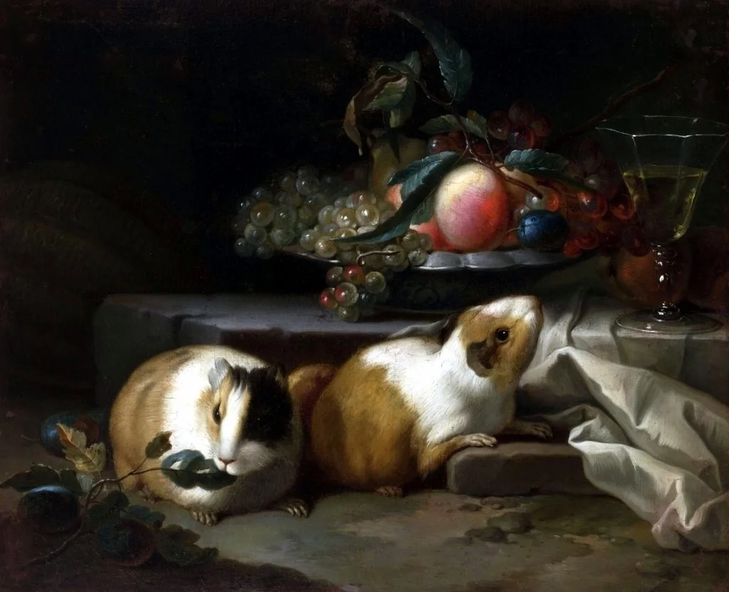 Still life with guinea pigs., by Teodor Lubieniecki, oil, 1650