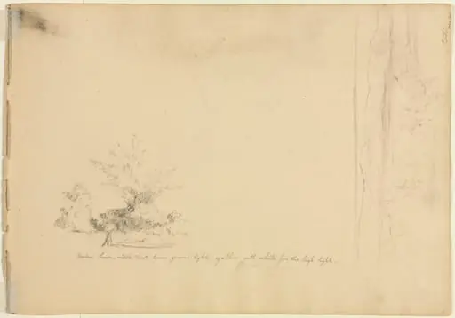 Landscape and Tree Studies (verso)