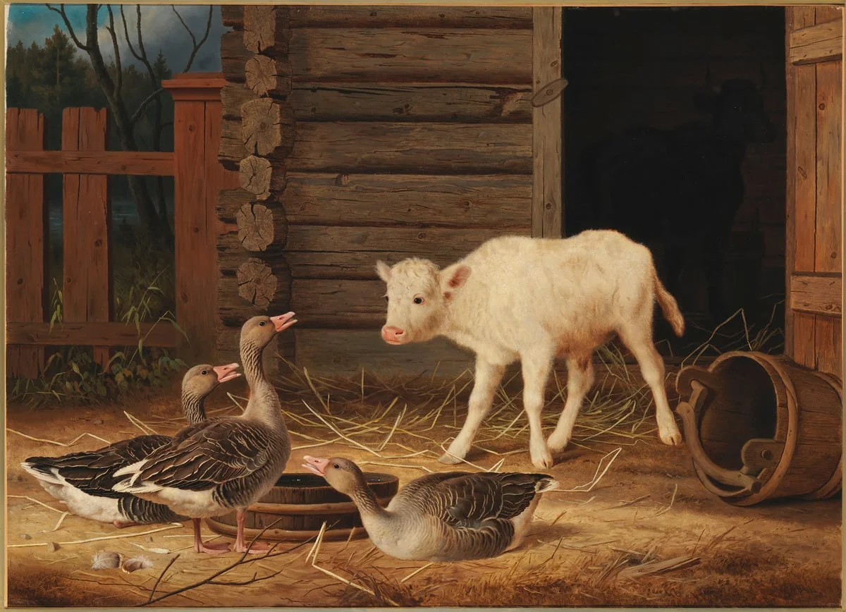 Ensi yllätys, by Ferdinand von Wright, unspecified