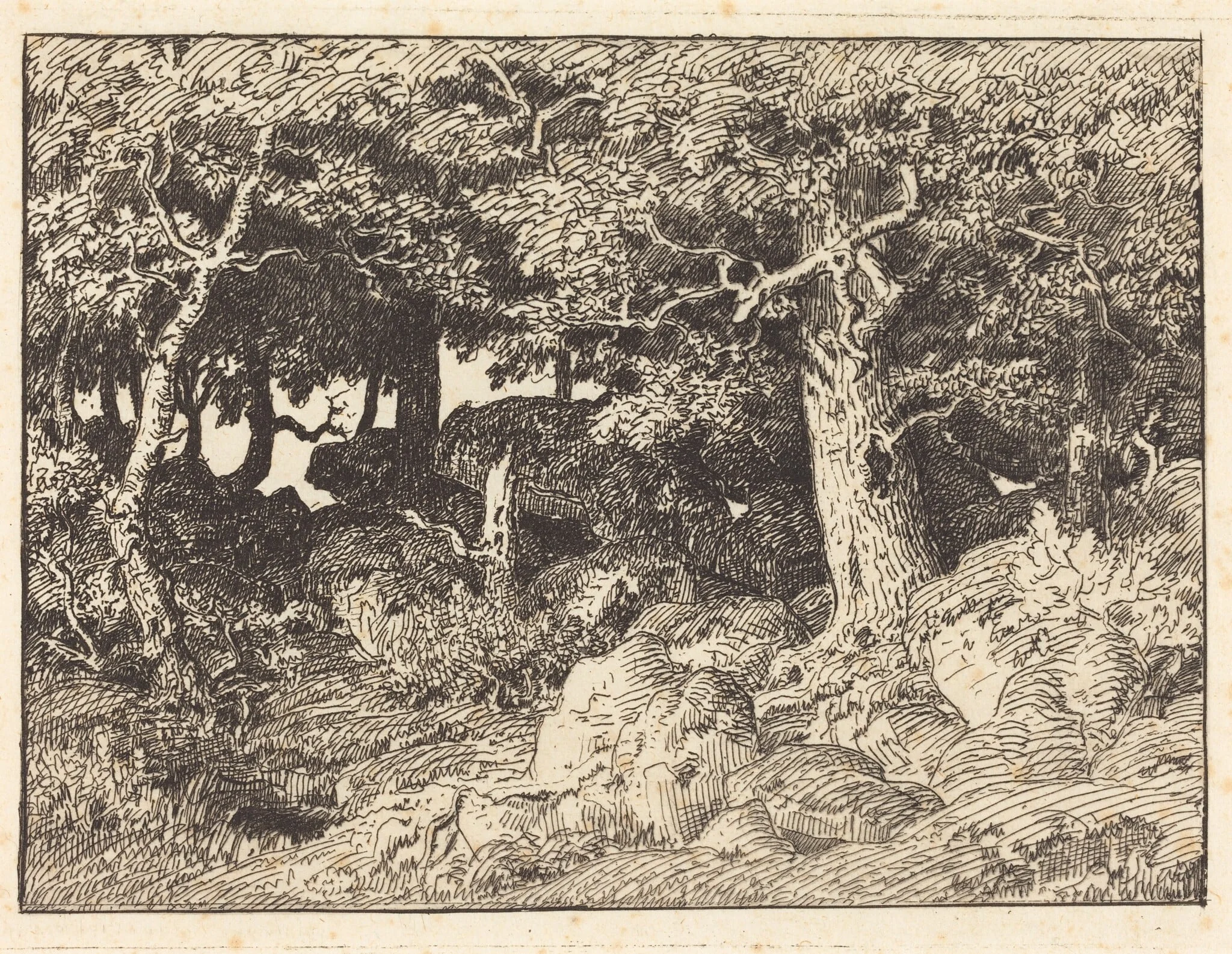 Rock Oaks, by Théodore Rousseau, ink, 1861