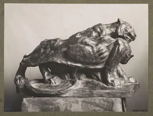 Tigers