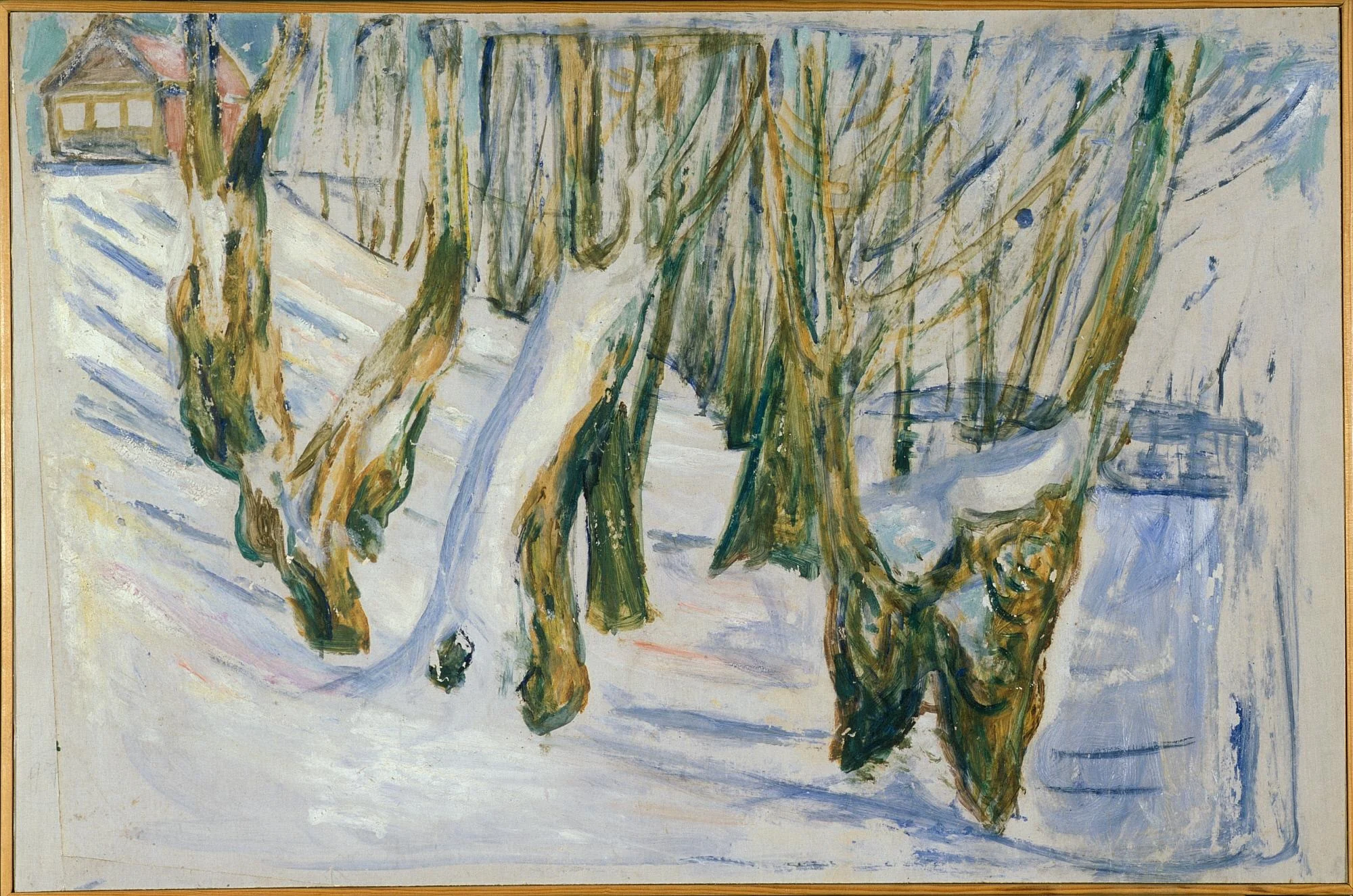 Rugged Trunks in Snow