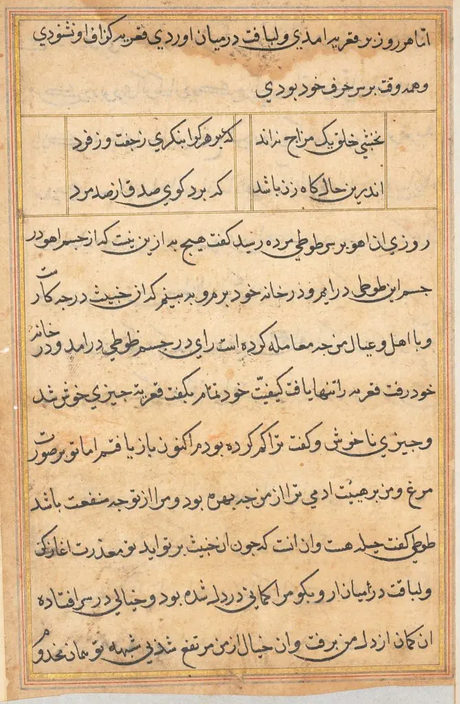 Page from Tales of a Parrot (Tuti-nama): text page